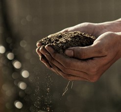 Mettre les mains dans la terre